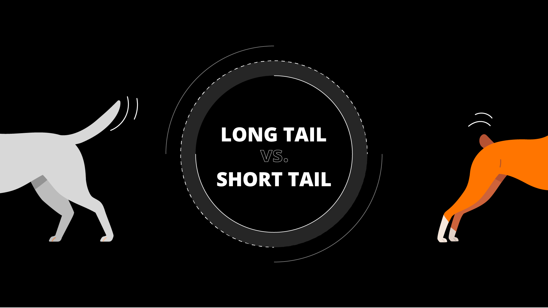 Long Tail Vs Short Tail Keywords: How to Choose for SEO?