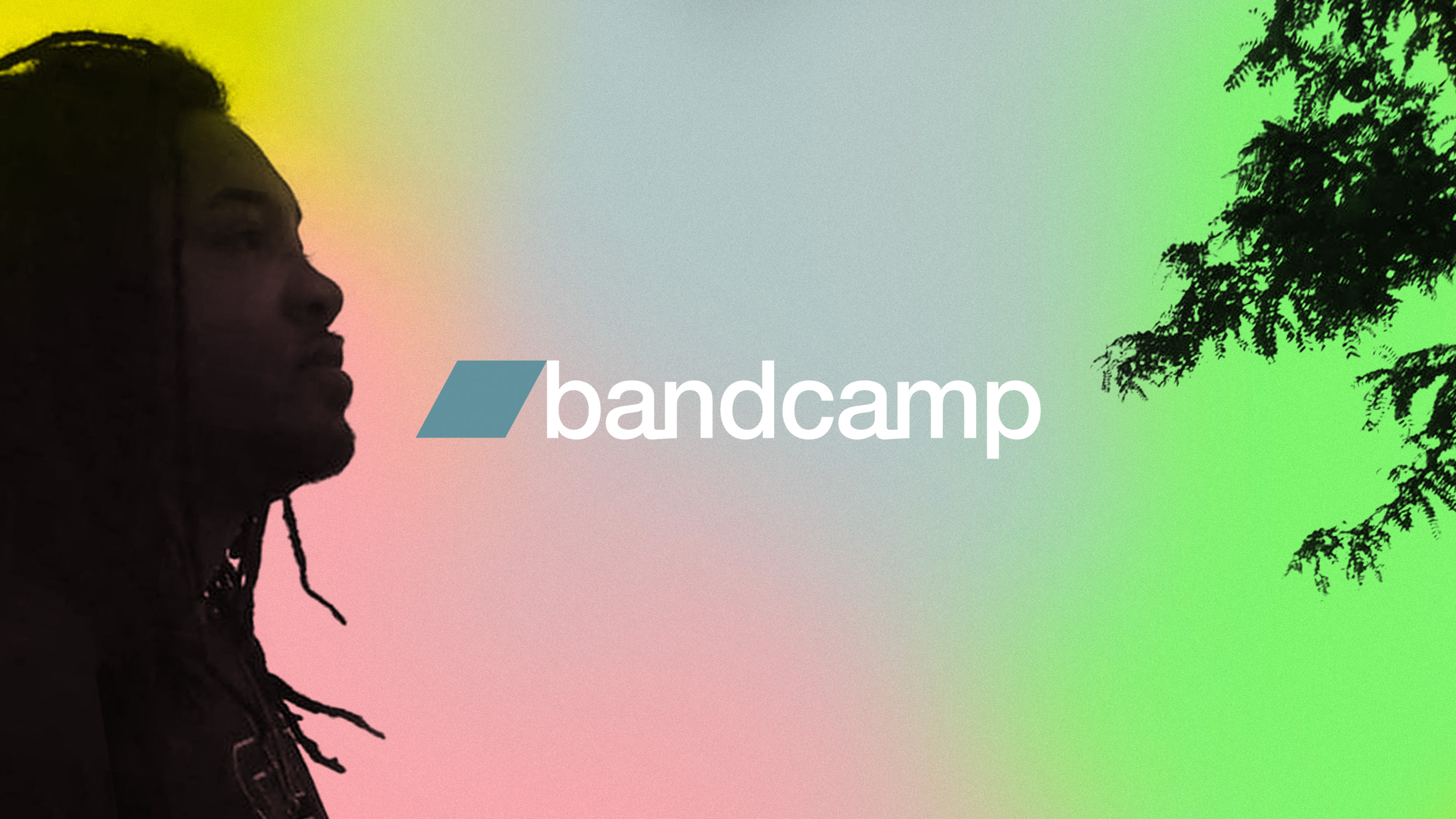 What is Bandcamp? Complete Review 2024